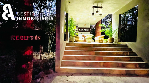 Imagen 3 de 10 de Terreno En Venta En Kuyabeh, Tulum, Qroo Ctv229