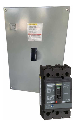 Interruptor Termomagnetico Square D Jdl36250 Con Gabinete Color Gris