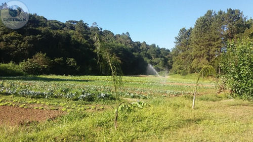Imagem 27 de 30 de Chácara A Venda . - 541-1