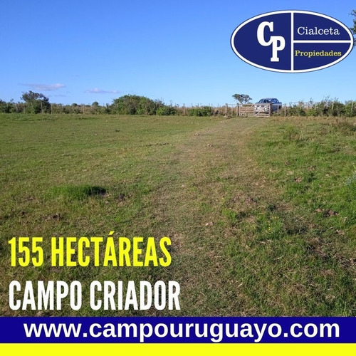 Campo Con Casa A Reparar, Instalaciones