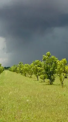 Rancho en venta
