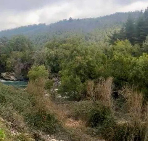 Sector Rural Precordillerano De Linares (169190)