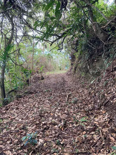 Finca En Venta Carayaca