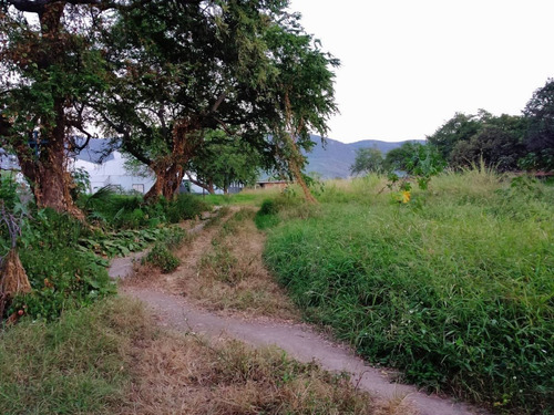 Imagen 12 de 17 de Terreno En Venta En Emiliano Zapata, Cuernavaca, Morelos