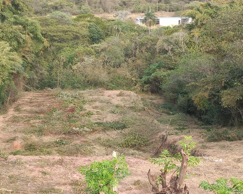 Imagem 4 de 4 de Terreno Industrial - Ti00008 - 68690611
