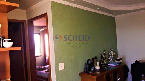 Imagem 4 de 15 de Apartamento 2 Dormitórios , Na Vila Santa Catarina ! - Mc9126