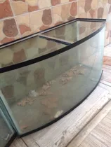 Comprar Peceras De Vidrio Curvo