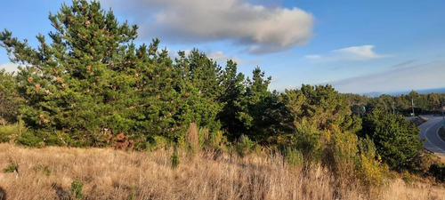 Parcela 3000 M2 En Venta Cobquecura