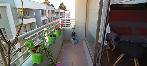 Depto En Venta 3 Dorm Semi Nuevo Los Pinos Quilpue