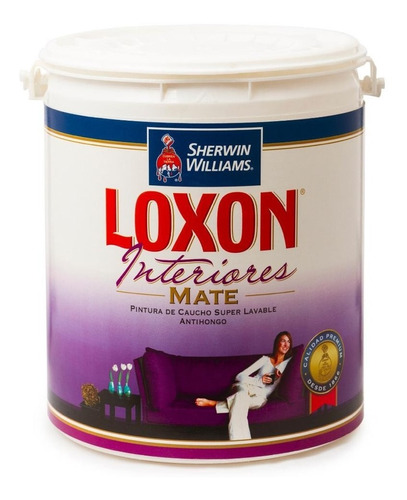 Pintura Caucho Interior Mate Loxon Clase A Amarillo