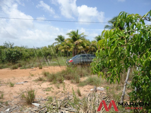 Imagem 3 de 5 de Terreno Pium