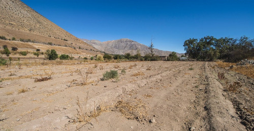 Parcela En Venta En Peralillo, Vicuña