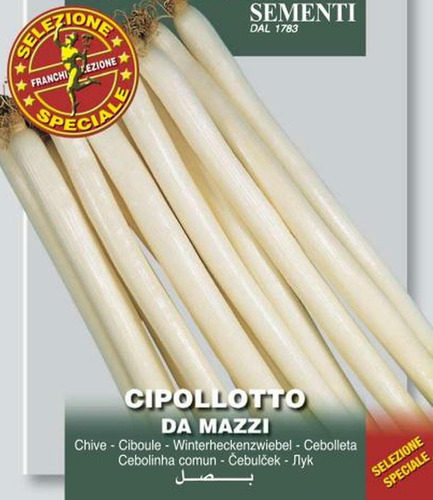 Sementes De Cebolla Italiana Cipollotto Da Mazzi - Cebolinha
