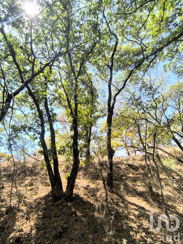 Venta Terreno 0 Ambiente La Piní
