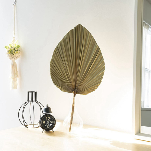 Hojas De Palmera Secas Para Decoración De Habitación, 10 Pie