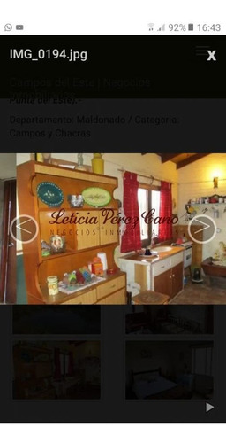 Imagen 22 de 22 de Venta De Chacra Con Casa , 5 Has , Maldonado
