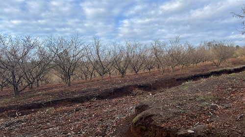 Agrícola En Venta En Gorbea