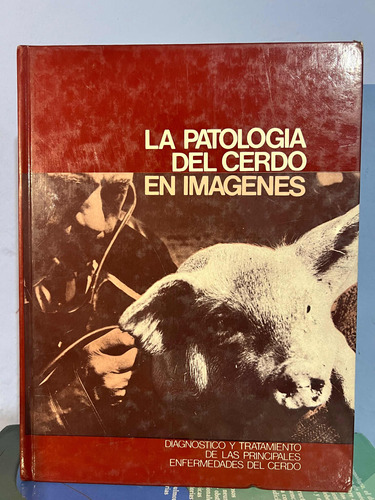 La Patologia Del Cerdo En Imagenes