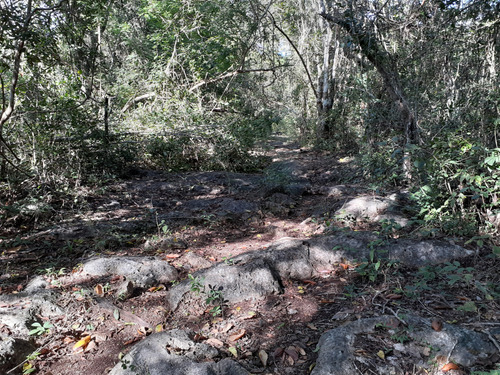 Terreno Con Cenote En Venta En Xtut, Valladolid Yucatán