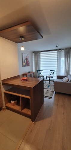 Venta Acogedor Dpto En Central Ubicación / Concepción.