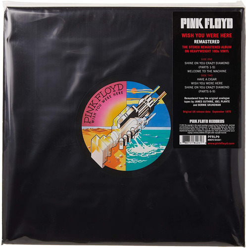Disco Vinyl Pink Floyd-wish You Where Here #1