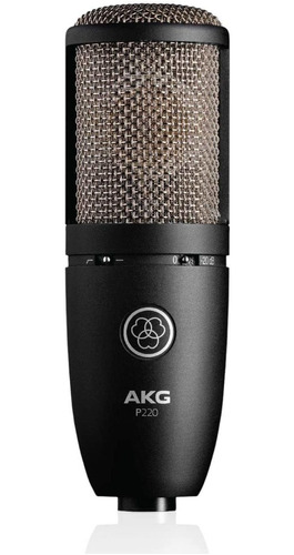 Akg Pro Audio P220 - Micrófono De Condensador Vocal, Color