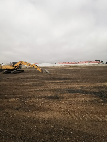 Imagen 6 de 7 de Se Arrienda Terrenos Industriales Desde 5.000 M2 Y Bodegaje