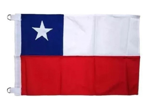 Bandera De Genero Chilena 60 X 80 Cm Tela Bordada Reforzada