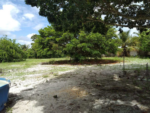 Imagem 13 de 14 de Chacara. Conde Pb. Preço Cada Lote 35 Mil