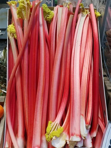 Ruibarbo, 30 Gr Erva Seca
