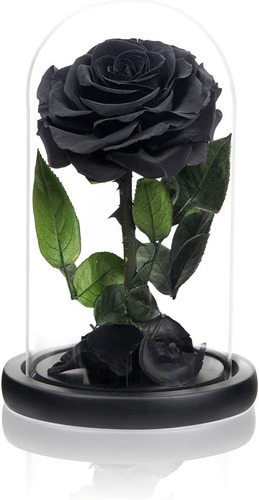 Rosas Preservadas Hechas A Mano En Cúpula De Cristal, ... | Envío gratis