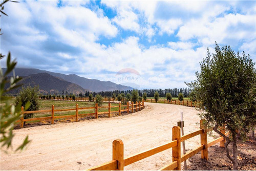 Ultimas Parcelas En Venta Los Olivos Maria Pinto