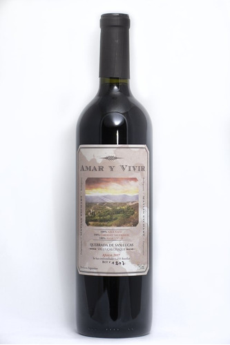 Vino Tinto Amar Y Vivir Cabernet Sauvingon 750ml