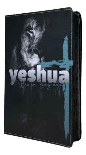Bíblia Sagrada Capa Dura Letra Gigante Com Índice Yeshua