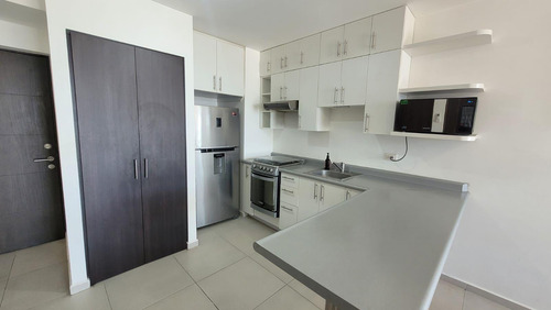 Departamento - Renta Zona Centro Monterrey N L
