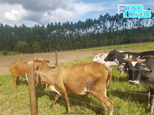 Imagem 13 de 14 de Sítios À Venda Em Pilar Do Sul/sp - Compre O Seu Sítios Aqui! - 1373063