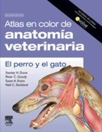 Atlas En Color De Anatomia Veterinaria El Perro Y El Gato...