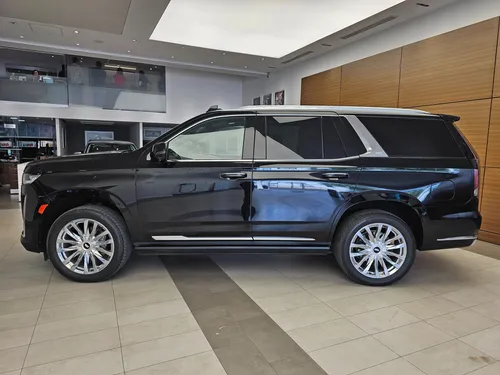 Escalade Suv Premium