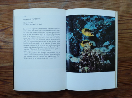 Poissons Des Mers Chaudes - Nicolas G. Wlandi (Usado)