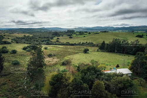 Chacra En Venta, Las Cañas, Maldonado