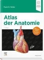 Atlas Der Anatomie : Deutsche Uebersetzung Von Christian ...