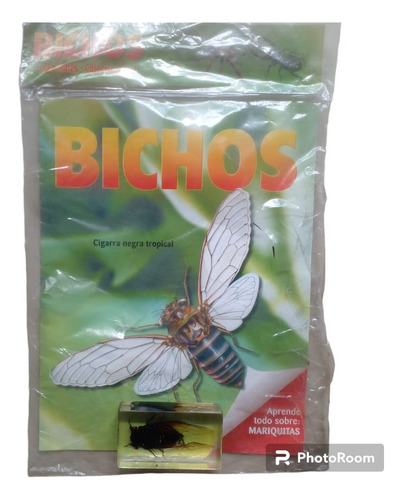 Fascículo + Bicho Coleccionable . Cigarra Negra Tropical.