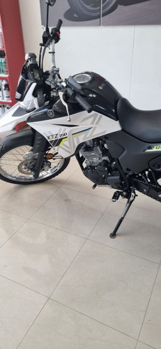 Imagen 7 de 19 de Yamaha Xtz 250