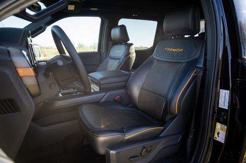 Ford F-150 5.0L V8 Tremor 4X4 At