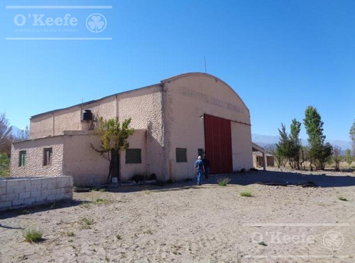 Campo En Venta De 300 Has Santa Maria, Catamarca