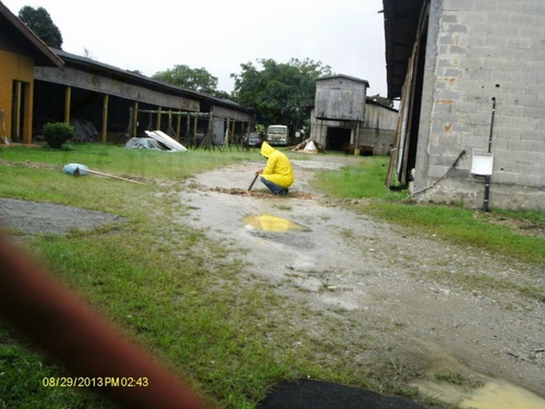 Imagem 10 de 12 de Galpao - Batistini - Ref: 1430 - L-3553