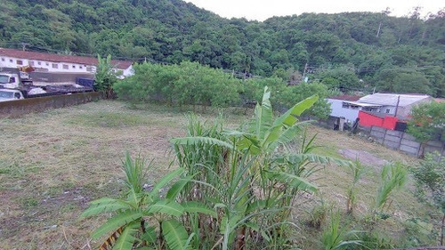 Imagem 2 de 4 de Terreno, 1889 M² - Venda Por R$ 2.500.000,00 Ou Aluguel Por R$ 12.000,00/mês - Saboó - Santos/sp - Te0133