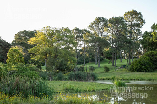 Terreno En  Zona Golf Punta Del Este 1.000 M2 Al Bosque - Aura Brava Golf