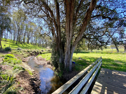 Parcela, Senderos De Pilauco (63944)