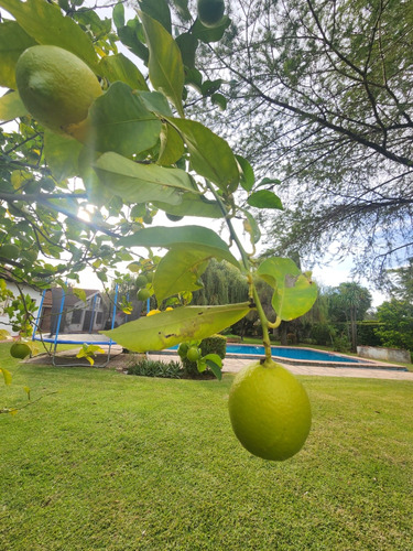 Vendo Casa Quinta En El Trébol 